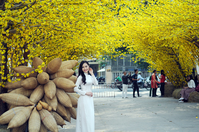 Phố ông Đồ vàng rực, thu hút giới trẻ đến "check in" dịp Tết Nguyên đán Pho ong Do vang ruc, thu hut gioi tre den