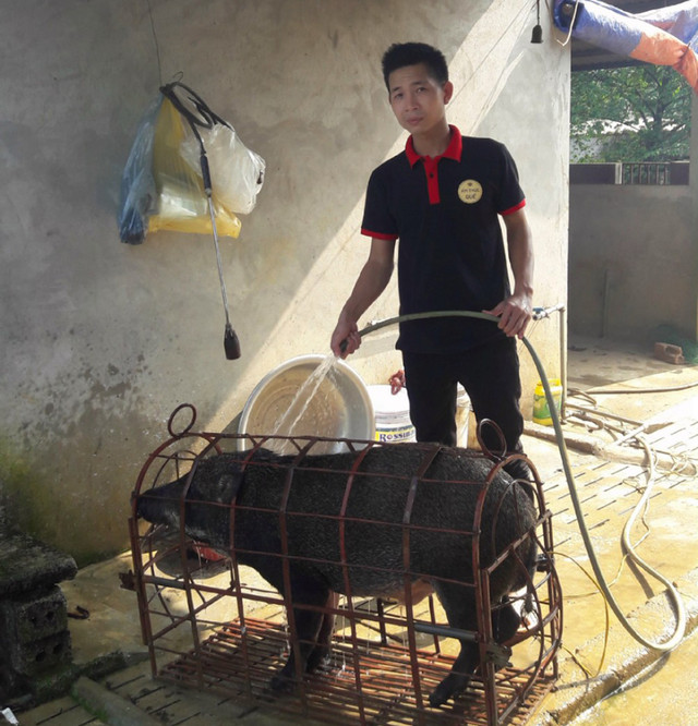 Ám ảnh thực phẩm bẩn, 9x lập mô hình “từ trang trại đến bàn ăn“ Am anh thuc pham ban, 9x lap mo hinh “tu trang trai den ban an“