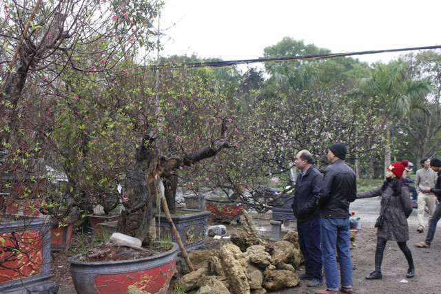 Anh: Nguoi dan trong dao Van Tao tat bat cho Tet Ky Hoi 2019-Hinh-9