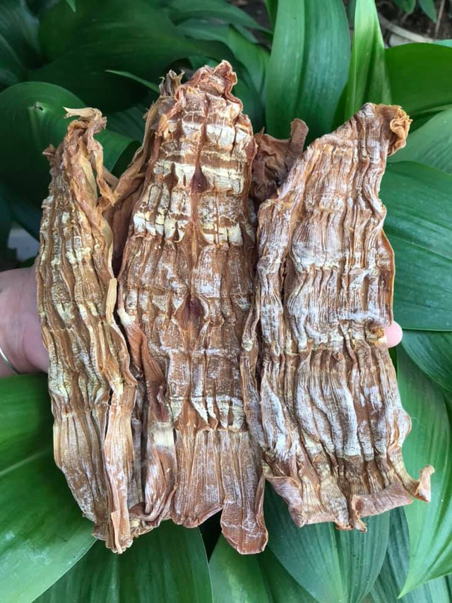 Sợ thực phẩm bẩn, dân thành phố săn sản vật rừng làm quà Tết - Hình 7 So thuc pham ban, dan thanh pho san san vat rung lam qua Tet-Hinh-7