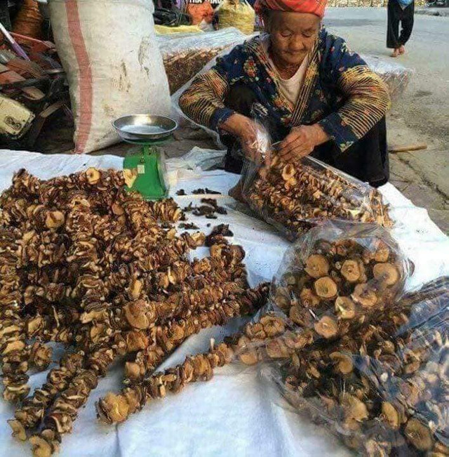 Sợ thực phẩm bẩn, dân thành phố săn sản vật rừng làm quà Tết So thuc pham ban, dan thanh pho san san vat rung lam qua Tet