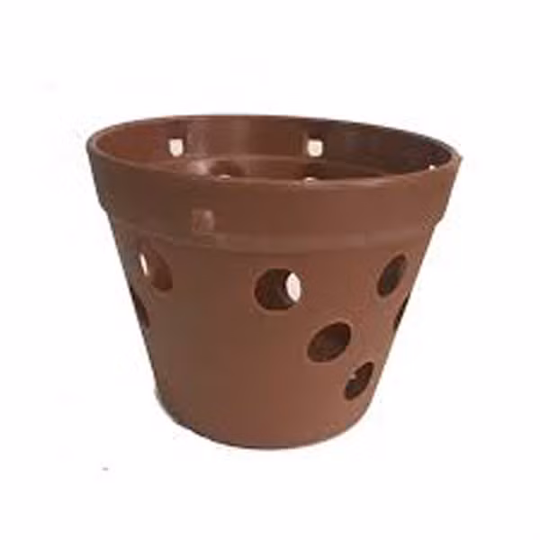 Trong cay luu y loai chau khong nen mua-Hinh-8