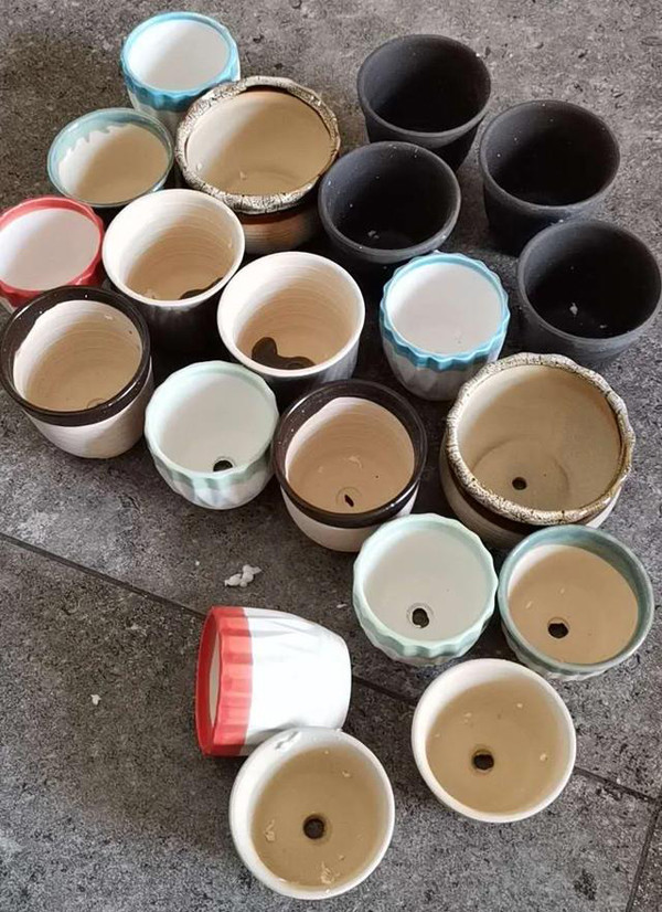 Trồng cây lưu ý loại chậu không nên mua - Hình 2 Trong cay luu y loai chau khong nen mua-Hinh-2