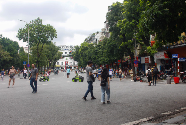 Duong pho ngap tran co hoa mung Quoc khanh 2/9-Hinh-8