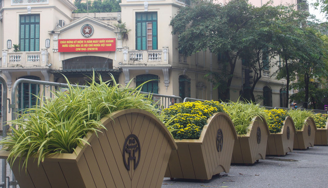 Duong pho ngap tran co hoa mung Quoc khanh 2/9-Hinh-3