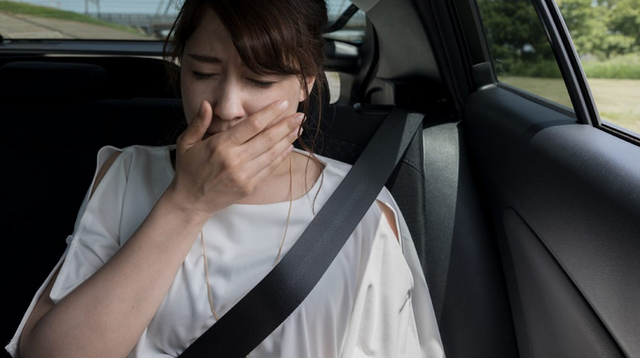 Mẹo chống say tàu xe để về quê ăn Tết - Hình 3 Meo chong say tau xe de ve que an Tet-Hinh-3