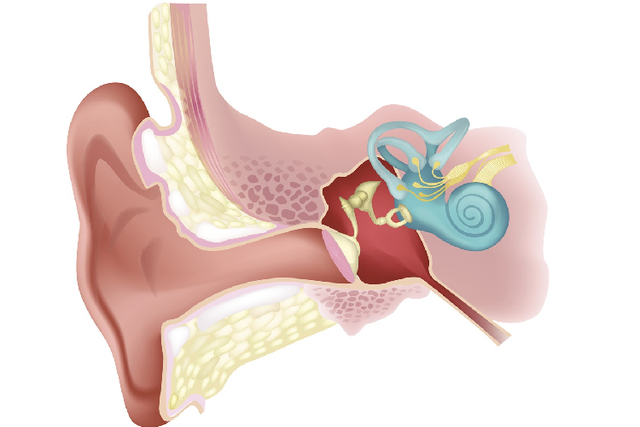 Mẹo chống say tàu xe để về quê ăn Tết - Hình 2 Meo chong say tau xe de ve que an Tet-Hinh-2