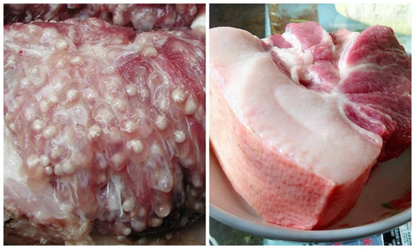 Nên tránh ăn 4 bộ phận cực bẩn ở lợn để không rước bệnh - Hình 3 Nen tranh an 4 bo phan cuc ban o lon de khong ruoc benh-Hinh-3