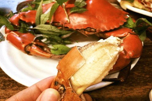 Giật mình thực phẩm tưởng bổ không ngờ giàu cholesterol, nên hạn chế ăn - Hình 11 Giat minh thuc pham tuong bo khong ngo giau cholesterol, nen han che an-Hinh-11