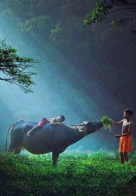 Tu vi ngay 24/3/2021 cho 12 con giap: Hoi thu loi khong lo, Ty gap quy nhan-Hinh-2