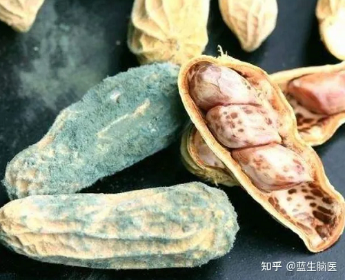 Nhiều người vẫn ăn những thực phẩm gây ung thư này - Hình 2 Nhieu nguoi van an nhung thuc pham gay ung thu nay-Hinh-2