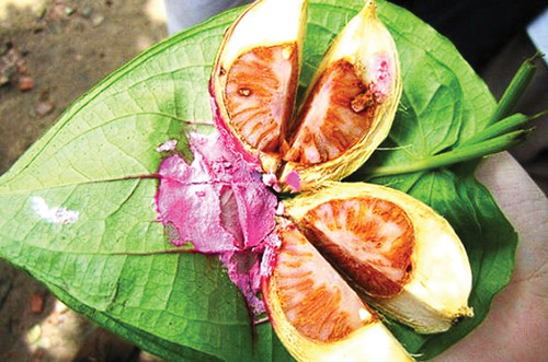 Nhiều người vẫn ăn những thực phẩm gây ung thư này - Hình 13 Nhieu nguoi van an nhung thuc pham gay ung thu nay-Hinh-13