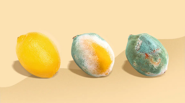 Mẹo bảo quản chanh cực đơn giản mà vẫn tươi lâu Meo bao quan chanh cuc don gian ma van tuoi lau