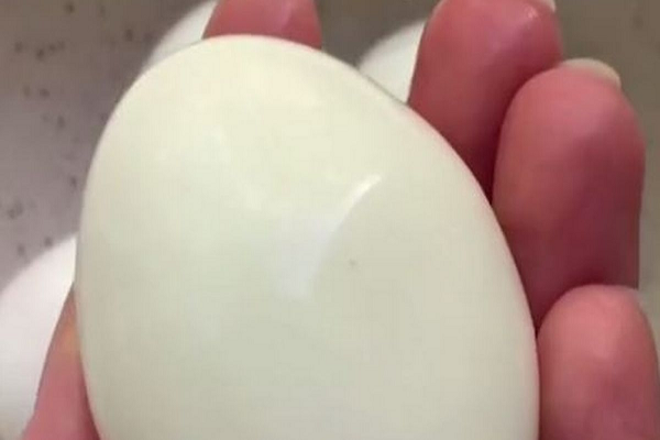 Cách luộc trứng giúp bóc vỏ cực nhanh Cach luoc trung giup boc vo cuc nhanh
