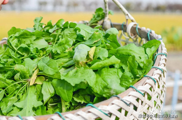 Những điều cần lưu ý khi ăn rau rừng không phải ai cũng biết Nhung dieu can luu y khi an rau rung khong phai ai cung biet