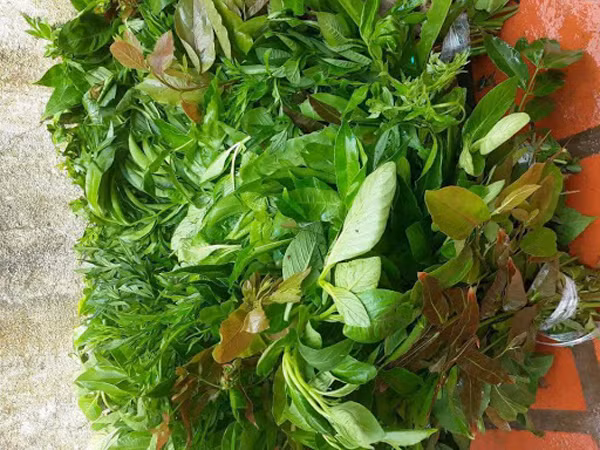 Nhung dieu can luu y khi an rau rung khong phai ai cung biet-Hinh-5