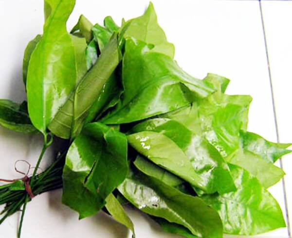 Những điều cần lưu ý khi ăn rau rừng không phải ai cũng biết - Hình 2 Nhung dieu can luu y khi an rau rung khong phai ai cung biet-Hinh-2