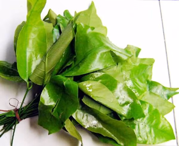 Nhung dieu can luu y khi an rau rung khong phai ai cung biet-Hinh-2