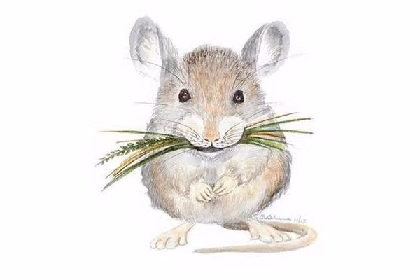 Su nghiep 12 con giap ra sao tu day den cuoi nam?