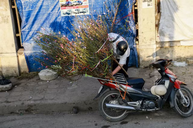 Dao no som, nguoi dan ru nhau mua ve choi Tet Duong lich-Hinh-5