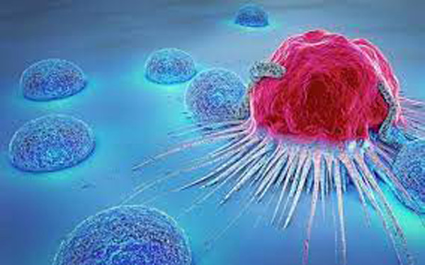 Thói quen sinh hoạt hàng ngày khiến nam giới dễ mắc ung thư hơn phụ nữ - Hình 2 Thoi quen sinh hoat hang ngay khien nam gioi de mac ung thu hon phu nu-Hinh-2