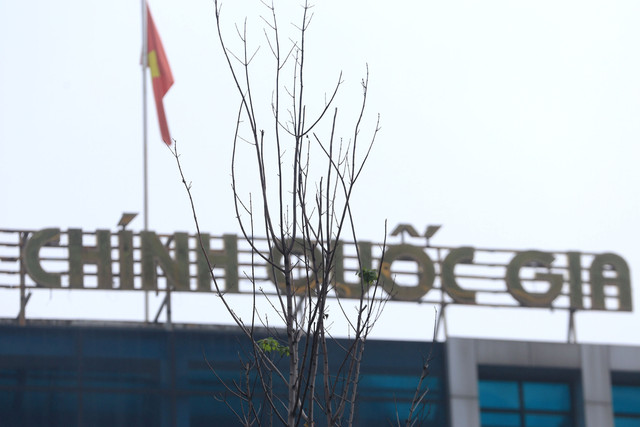 Ảnh: Phong lá đỏ ở Hà Nội "trơ xương" sau thời kì rụng lá - Hình 13 Anh: Phong la do o Ha Noi