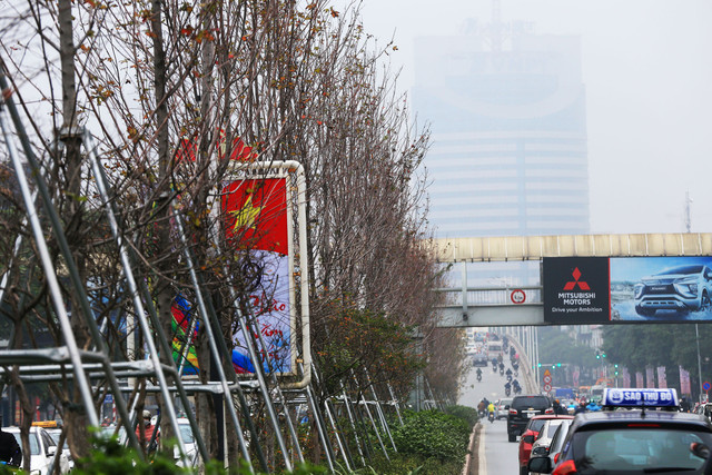 Ảnh: Phong lá đỏ ở Hà Nội "trơ xương" sau thời kì rụng lá - Hình 5 Anh: Phong la do o Ha Noi