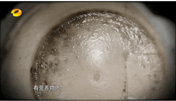 "Ổ vi khuẩn” đe dọa trẻ nhỏ từ những món đồ quen thuộc - Hình 3 Bát cách nhiệt. Nhiều bố mẹ chọn mua bát cách nhiệt để giữ ấm đồ ăn. Quá trình sử dụng, đồ ăn có thể rơi vào lớp cách nhiệt gây ôi thiu. Bên cạnh đó, bát cách nhiệt khi rửa rất khó làm khô hoàn toàn. Theo thời gian, nó là nơi sản sinh lượng lớn nấm mốc, vi khuẩn gây hại.