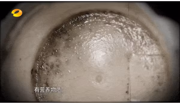 Bát cách nhiệt. Nhiều bố mẹ chọn mua bát cách nhiệt để giữ ấm đồ ăn. Quá trình sử dụng, đồ ăn có thể rơi vào lớp cách nhiệt gây ôi thiu. Bên cạnh đó, bát cách nhiệt khi rửa rất khó làm khô hoàn toàn. Theo thời gian, nó là nơi sản sinh lượng lớn nấm mốc, vi khuẩn gây hại.