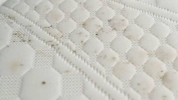 "Ổ vi khuẩn” đe dọa trẻ nhỏ từ những món đồ quen thuộc - Hình 10 Thảm tập bò. Thảm tập bò êm ái giúp trẻ tránh chấn thương khi di chuyển. Vậy nhưng nhiều thảm tập bò được làm bằng xốp, có độ thoáng khí kém. Sau thời gian sử dụng, mặt sau và phần viền rất dễ bị ẩm mốc, hình thành những đốm đen.