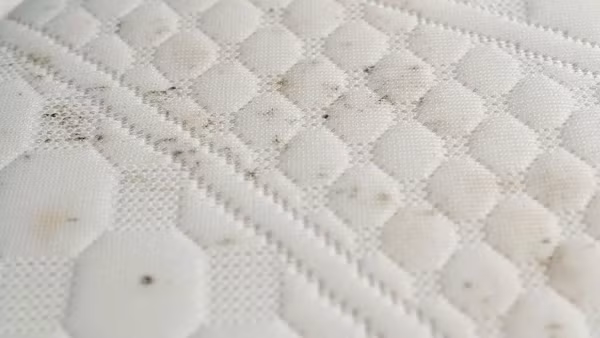 Thảm tập bò. Thảm tập bò êm ái giúp trẻ tránh chấn thương khi di chuyển. Vậy nhưng nhiều thảm tập bò được làm bằng xốp, có độ thoáng khí kém. Sau thời gian sử dụng, mặt sau và phần viền rất dễ bị ẩm mốc, hình thành những đốm đen.