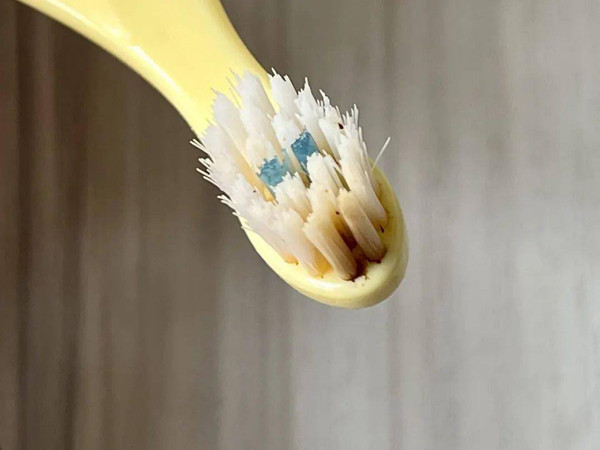 "Ổ vi khuẩn” đe dọa trẻ nhỏ từ những món đồ quen thuộc - Hình 12 Ngoài ra, các vật dụng vệ sinh như bàn chải đánh răng, góc lõm của bồn tắm gấp gọn, lưới tắm, thảm tắm... cũng rất dễ bị nấm mốc, đặc biệt thời điểm mùa xuân hè có độ ẩm cao. Nếu phòng không thông gió, nấm mốc sẽ xuất hiện chỉ 1-2 ngày.