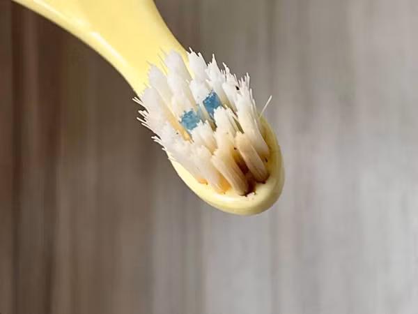 Ngoài ra, các vật dụng vệ sinh như bàn chải đánh răng, góc lõm của bồn tắm gấp gọn, lưới tắm, thảm tắm... cũng rất dễ bị nấm mốc, đặc biệt thời điểm mùa xuân hè có độ ẩm cao. Nếu phòng không thông gió, nấm mốc sẽ xuất hiện chỉ 1-2 ngày.