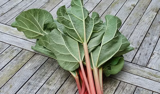 Nhung bo phan rau cu chua doc to nguy hiem it nguoi biet-Hinh-8