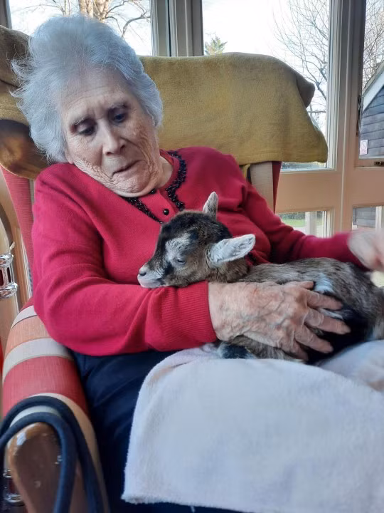 Mon qua dang yeu: De con dem den niem vui Giang sinh cho nguoi gia-Hinh-2