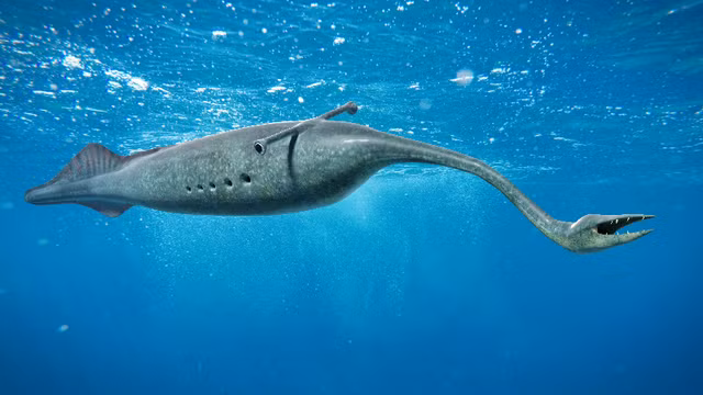 Top 8 loai dong vat thoi tien su gay ac mong nhat the gioi-Hinh-10