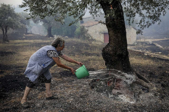 Nguyên nhân gì khiến châu Âu bị “thiêu đốt” bởi nắng nóng kỷ lục? - Hình 11 Nguyen nhan gi khien chau Au bi “thieu dot” boi nang nong ky luc?-Hinh-11