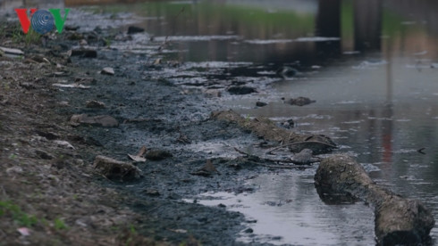 Nắng nóng, dân Thủ đô ngạt thở với mùi hôi thối ở sông Tô Lịch - Hình 12 Nang nong, dan Thu do ngat tho voi mui hoi thoi o song To Lich-Hinh-12