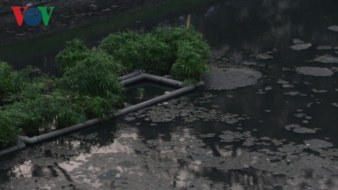 Nắng nóng, dân Thủ đô ngạt thở với mùi hôi thối ở sông Tô Lịch - Hình 14 Nang nong, dan Thu do ngat tho voi mui hoi thoi o song To Lich-Hinh-14