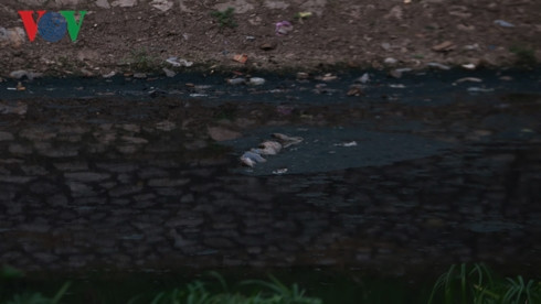 Nắng nóng, dân Thủ đô ngạt thở với mùi hôi thối ở sông Tô Lịch - Hình 11 Nang nong, dan Thu do ngat tho voi mui hoi thoi o song To Lich-Hinh-11