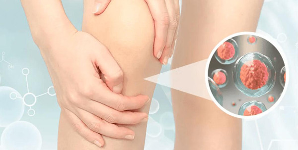 Lưu ý 3 vị trí đau cảnh báo bệnh thận - Hình 11 Luu y 3 vi tri dau canh bao benh than-Hinh-11