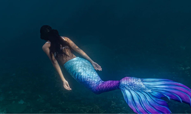 Có bằng chứng thuyết phục về sự tồn tại của Người cá? - Hình 3 Co bang chung thuyet phuc ve su ton tai cua Nguoi ca?-Hinh-3