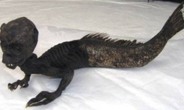 Có bằng chứng thuyết phục về sự tồn tại của Người cá? - Hình 9 Co bang chung thuyet phuc ve su ton tai cua Nguoi ca?-Hinh-9