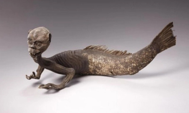 Có bằng chứng thuyết phục về sự tồn tại của Người cá? - Hình 10 Co bang chung thuyet phuc ve su ton tai cua Nguoi ca?-Hinh-10