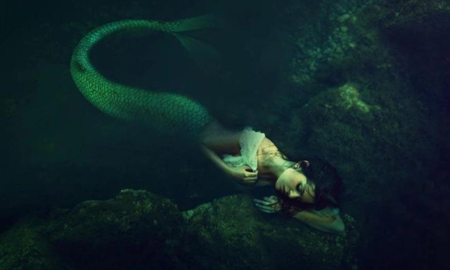 Có bằng chứng thuyết phục về sự tồn tại của Người cá? - Hình 12 Co bang chung thuyet phuc ve su ton tai cua Nguoi ca?-Hinh-12