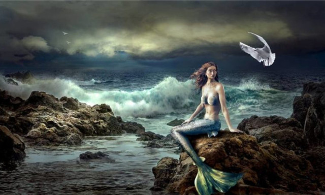 Có bằng chứng thuyết phục về sự tồn tại của Người cá? - Hình 5 Co bang chung thuyet phuc ve su ton tai cua Nguoi ca?-Hinh-5