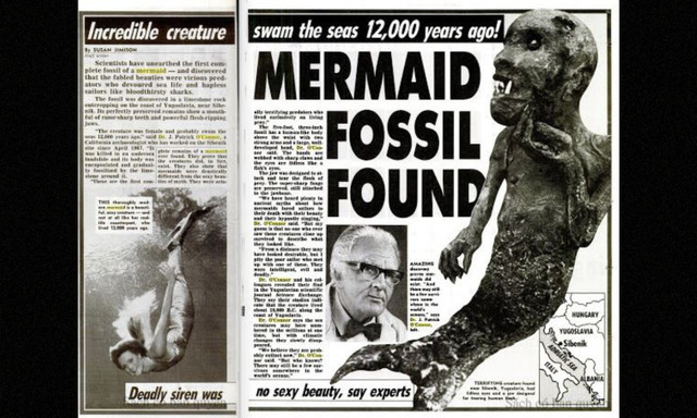 Có bằng chứng thuyết phục về sự tồn tại của Người cá? - Hình 8 Co bang chung thuyet phuc ve su ton tai cua Nguoi ca?-Hinh-8