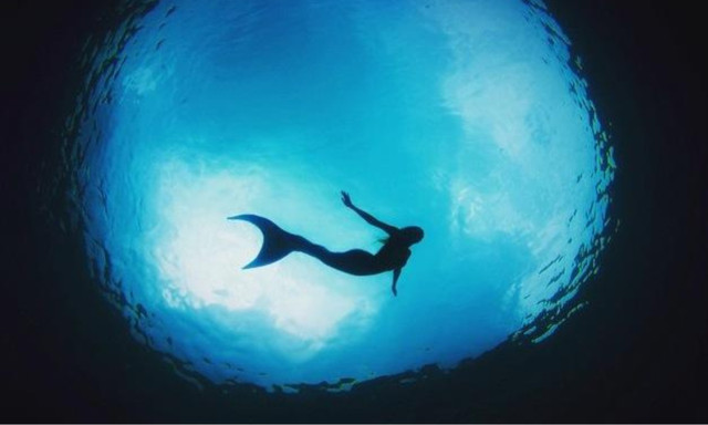 Có bằng chứng thuyết phục về sự tồn tại của Người cá? - Hình 7 Co bang chung thuyet phuc ve su ton tai cua Nguoi ca?-Hinh-7