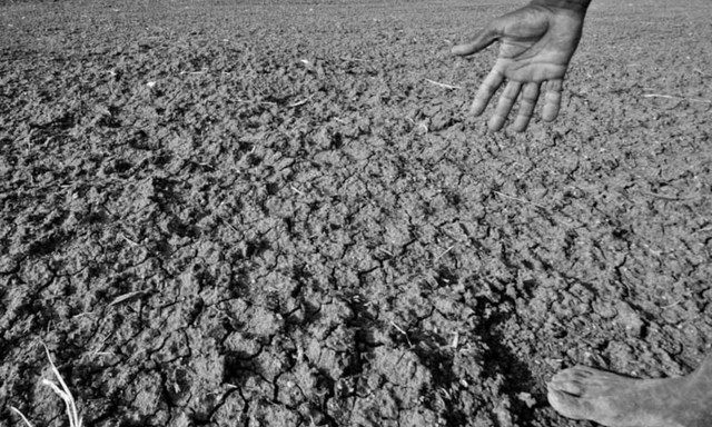 10 kỷ lục hạn hán khủng khiếp nhất trong lịch sử thế giới - Hình 4 10 ky luc han han khung khiep nhat trong lich su the gioi-Hinh-4