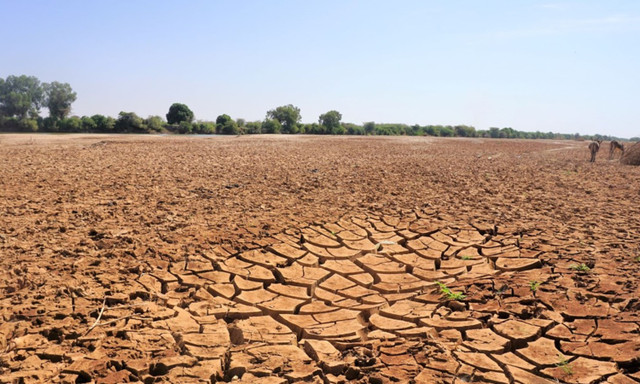 10 kỷ lục hạn hán khủng khiếp nhất trong lịch sử thế giới - Hình 11 10 ky luc han han khung khiep nhat trong lich su the gioi-Hinh-11
